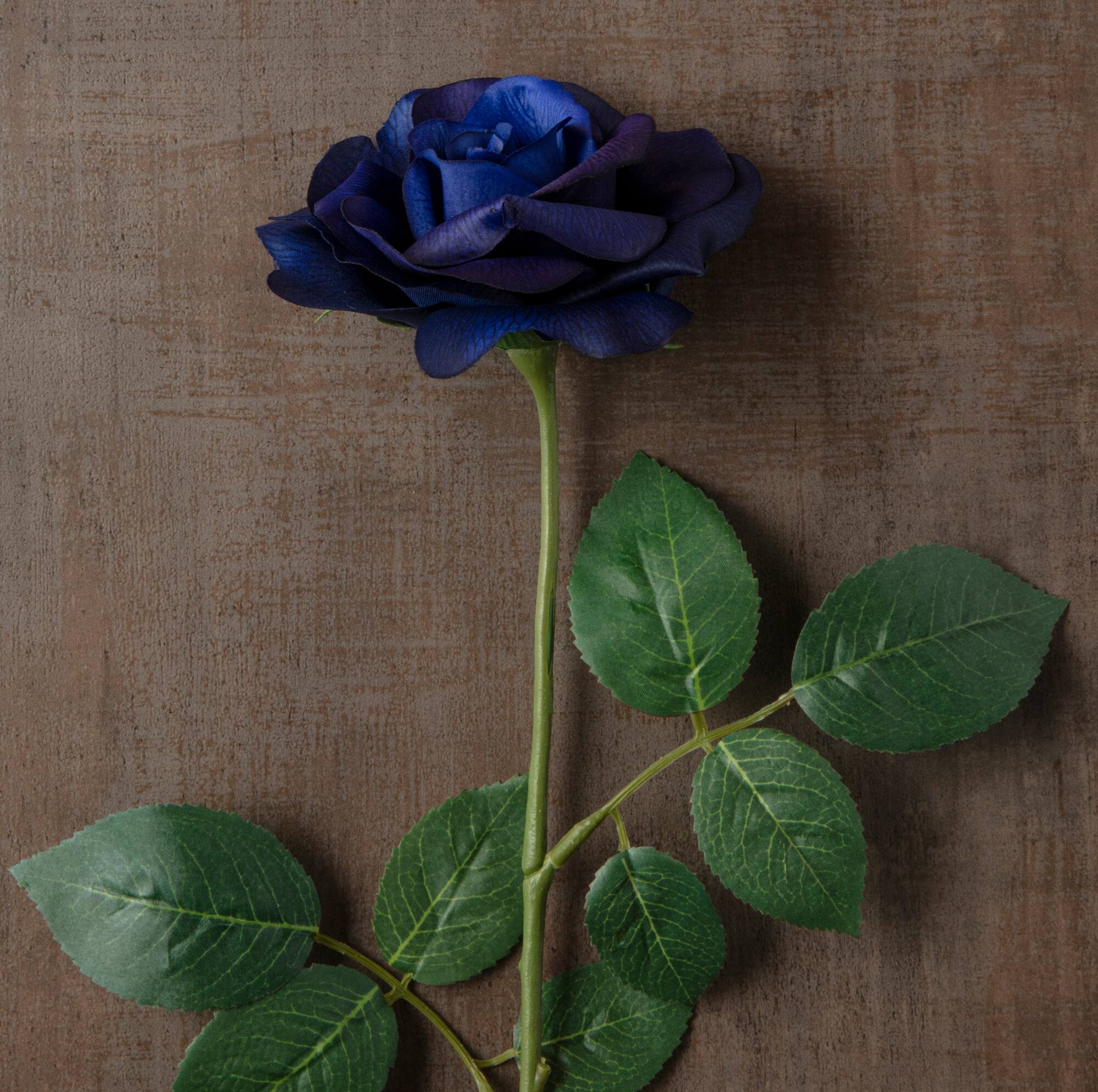 Navy Princess Rose Stem by Ashland®